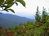 2003 Snake Den Ridge