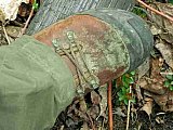            - 2010 Spring Sheltowee Trace Pickett State Park to Hemlock Grove group1