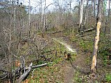 2010 Spring Sheltowee Trace Pickett State Park to Hemlock Grove group1