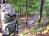            - 2010 Spring Sheltowee Trace Pickett State Park to Hemlock Grove group1