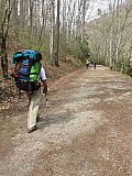 2016 Spring Deep Creek Smoky Mtn
