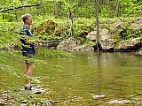            - 2010 Spring Sheltowee Trace Pickett State Park to Hemlock Grove group1