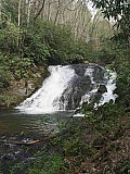 2016 Spring Deep Creek Smoky Mtn