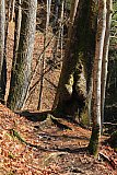 2012 Feb Winter Trip Red River Gorge