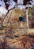 1999 Fall Sheltowee Northern Terminus to KY Rt-32