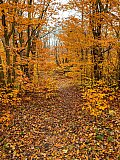 2019 Fall Dolly Sods WV