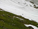 2008 Glacier