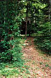 1997-Spring-Sheltowee-Yahoo-Falls-to-Cumberland-Falls