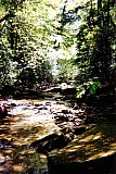 1997-Spring-Sheltowee-Yahoo-Falls-to-Cumberland-Falls
