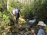 2016 Spring Deep Creek Smoky Mtn