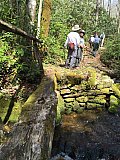 2016 Spring Deep Creek Smoky Mtn