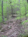 2009 Spring Hazel Creek Great Smoky Mt