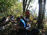 2010 Fall AT Wayah Gap to Nantahala River