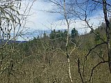 2016 Spring Deep Creek Smoky Mtn