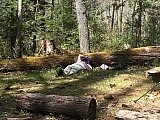 2016 Spring Deep Creek Smoky Mtn