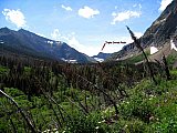 2008 Glacier