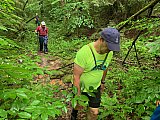 33 Mark - 2020 June Cranberry Wilderness WV