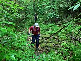 2020 June Cranberry Wilderness WV