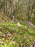 2016 Spring Deep Creek Smoky Mtn