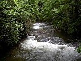 2009 Spring Hazel Creek Great Smoky Mt
