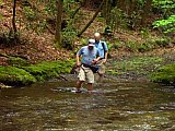 2009 Spring Hazel Creek Great Smoky Mt