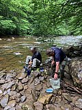 2020 June Cranberry Wilderness WV