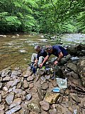 2020 June Cranberry Wilderness WV