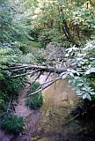1998 Spring Sheltowee Laurel Lake to I-75