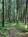2020 June Cranberry Wilderness WV