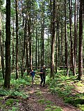2020 June Cranberry Wilderness WV