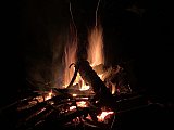 2020 June Cranberry Wilderness WV