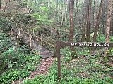 2025 Spring BP Sheltowee Trace Peters Mtn to Yahoo Falls