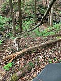 2025 Spring BP Sheltowee Trace Peters Mtn to Yahoo Falls