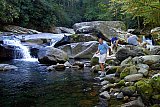 2005 Fall Smokies Walnut Bottoms to Mt Cammerer