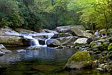 2005 Fall Smokies Walnut Bottoms to Mt Cammerer