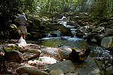 2005 Fall Smokies Walnut Bottoms to Mt Cammerer