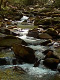 2005 Fall Smokies Walnut Bottoms to Mt Cammerer