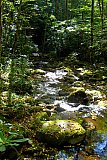 2005 Fall Smokies Walnut Bottoms to Mt Cammerer
