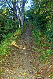 2005 Fall Smokies Walnut Bottoms to Mt Cammerer