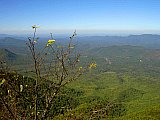 2005 Fall Smokies Walnut Bottoms to Mt Cammerer