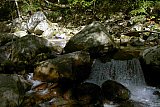 2005 Fall Smokies Walnut Bottoms to Mt Cammerer