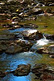 2005 Fall Smokies Walnut Bottoms to Mt Cammerer