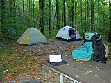2007 Fall Hemphill Bald