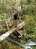 2007 Fall Hemphill Bald
