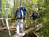 2007 Fall Hemphill Bald