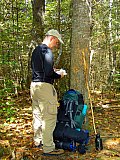 2007 Fall Hemphill Bald