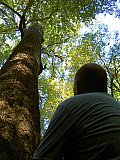 2007 Fall Hemphill Bald