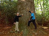 2007 Fall Hemphill Bald
