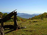 2007 Fall Hemphill Bald