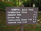 2007 Fall Hemphill Bald